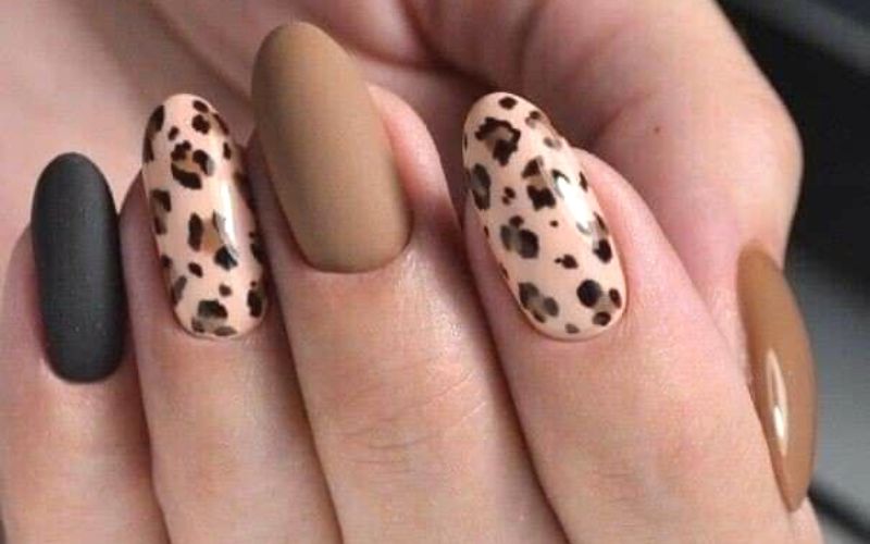 Leopard Silhouettes