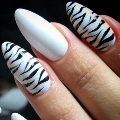 Zebra Print