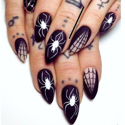 Spider And Web Nails