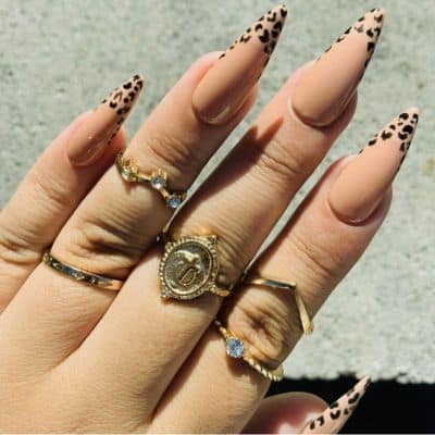 Leopard Print Stiletto Nails