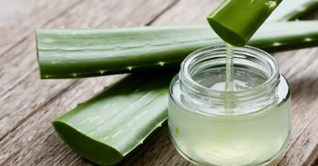 Pure Aloe Vera extracted from the leaves