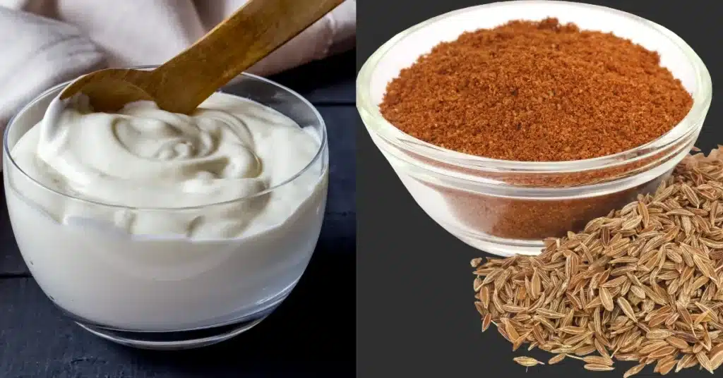 Yoghurt and Cumin Seed Powder in a bowl